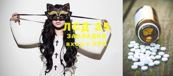 ешки Вяземский