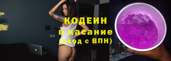 ешки Вяземский