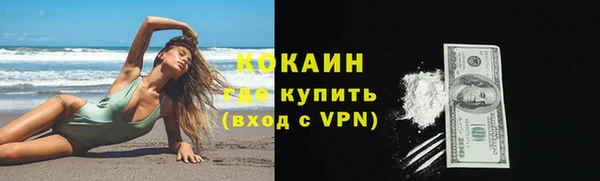 ешки Вяземский