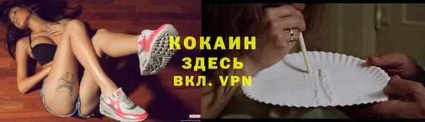 ешки Вяземский