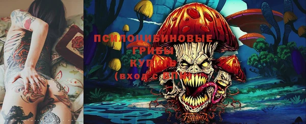 каннабис Туринск