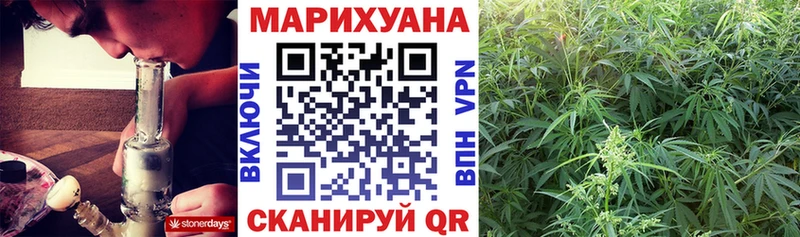 МАРИХУАНА SATIVA & INDICA Могоча