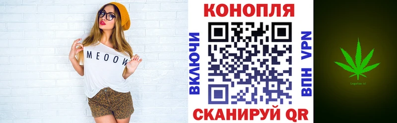 Бошки Шишки VHQ  цены   Могоча 